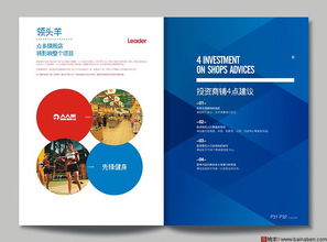 布鲁卡卡冯房产画册设计 融合创意与科技的软件开发实践