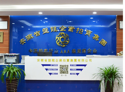 安徽盘龙企业拍卖集团在文物拍卖领域的角色与前景