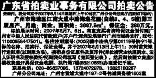 广东省拍卖业事务拍卖公告详解 流程与要点概述