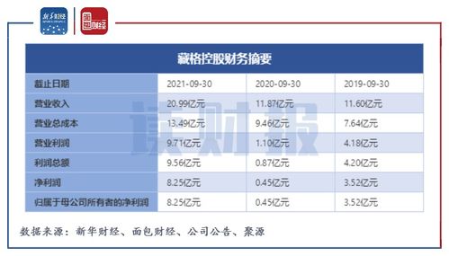 藏格控股 净利润飙升超17倍与股权拍卖的冰火两重天